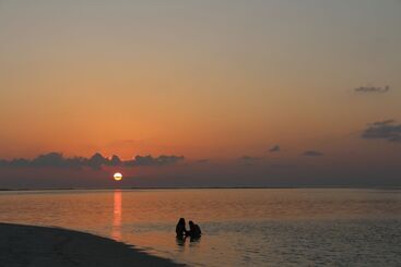 هتل The Castaway Retreat