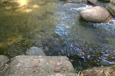 호텔 Restaurante Casa Antonio