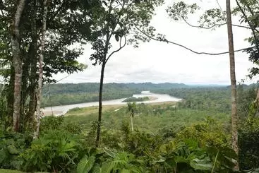 Yachana Lodge