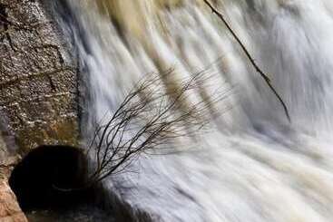 여관 La Posada De Pradorey