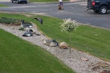 فندق على الطريق River Country Motor Lodge