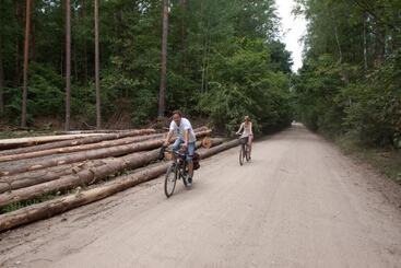 פנסיון Kuźnia Pałacowa