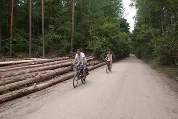 ペンション Kuźnia Pałacowa