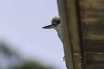 コテージ Clarendon Forest Retreat