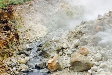 渡假胜地  Pagua Bay House Oceanfront Cabanas