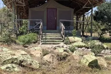 Explore Nature Mara Lodge