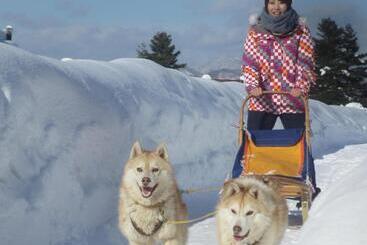 酒店 Resort Inn North Country