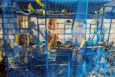 Pensiune Rusma House Ubud