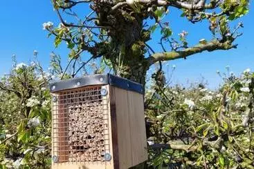 Aamiaismajoitus (B&B) Chalet Conference 6 Pers