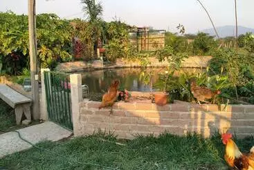 Eco Hotel Y Cabañas