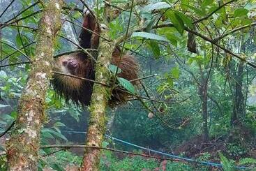 酒店 Vistas Del Cielo