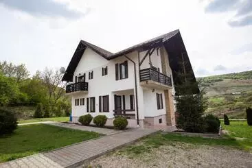 Pensjonat Casa Poienita Apusenilor