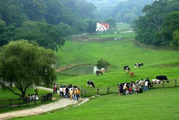 هاستل Flying Cow Ranch