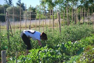 Agriturismo Le Torri Di Porsenna