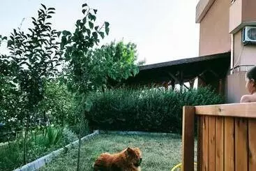 ペンション Tangra Guest House