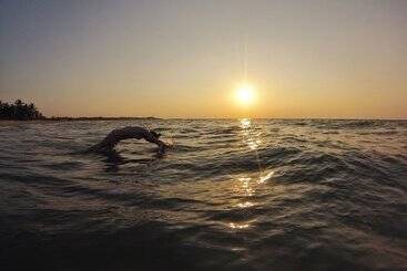 منتجع Wellé Wadiya Beach Villa