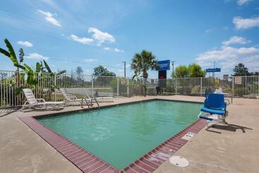 住宿加早餐  Rodeway Inn