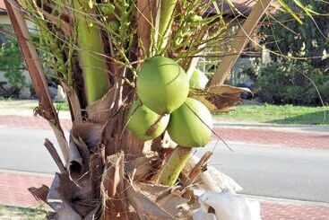 آپارتمانهای توریستها Aruba Cunucu Residence