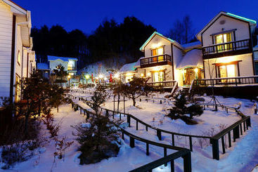 Apartamente turistice Swiss Pension