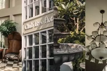 בית מלון כפרי Club Tree