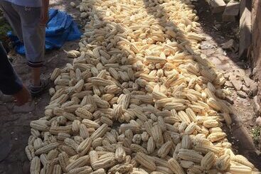 Mystical Adventures Hostel