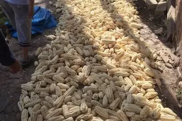 Mystical Adventures Hostel