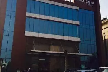 Hotel Delite Grand