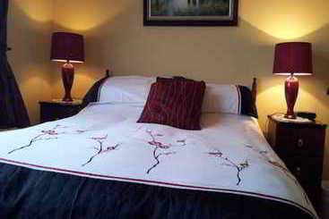 Bed and Breakfast Mount Edward Lodge