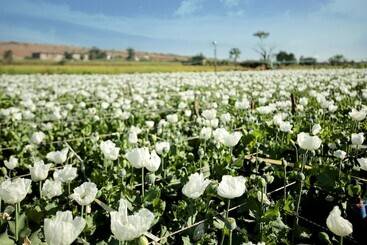 Lomakeskus Pangarh Lake Retreat