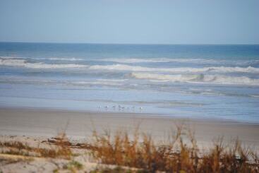 فندق Ocean Jewels Club #312