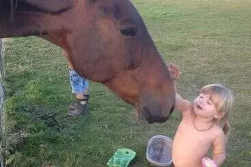 Pensionat Stable Oak Cottages