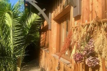 Bed and Breakfast Cabane Chic Au Cap Ferret