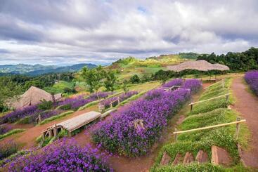 בית מלון כפרי Phuingfah