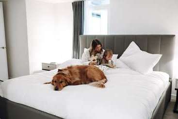 아파트호텔 Level Los Angeles   Downtown South Olive