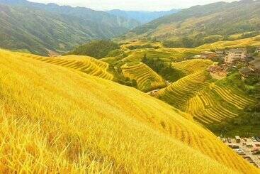 Dragon S Den Hostel In Longji Rice Terraces
