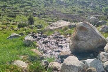 Bed and Breakfast Haus Marinus