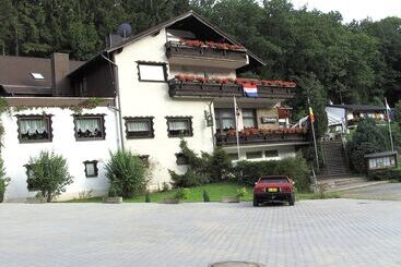 Отель Finkenberg