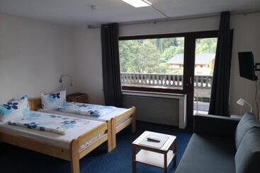 Отель Finkenberg