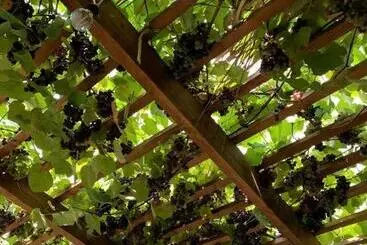 Te Bujtina Hotel&restaurant