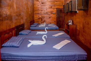 فندق صغير Rainforest View Hostal And Rainforest Tours