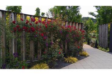 Hotel Shimaonsen Ayameya Ryokan   Vacation Stay 20626v