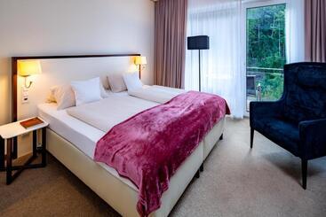 ホテル Konig Albert