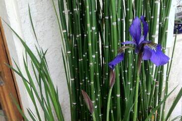 ホテル La Porte Rouge  The Red Door Inn