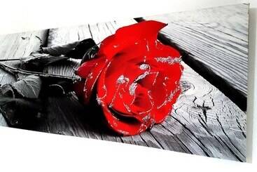 酒店 B&b Vanessa House