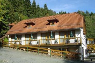 Waldhotel Pfarrmühle