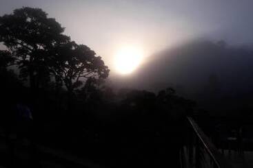 Отель Pousada Cores E Flores