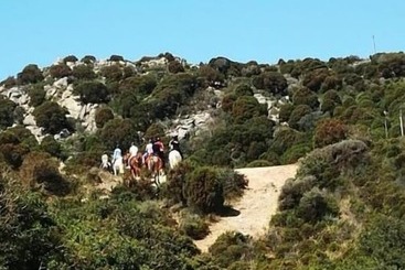 住宿加早餐  Villa Rosanna