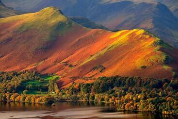 Brookfield B&b Guest House