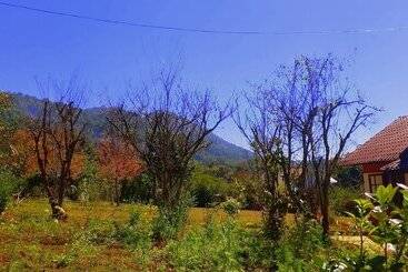 Hotel Morning Glory Inn