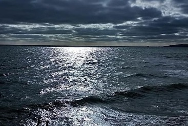 Pensjonat Trentham House